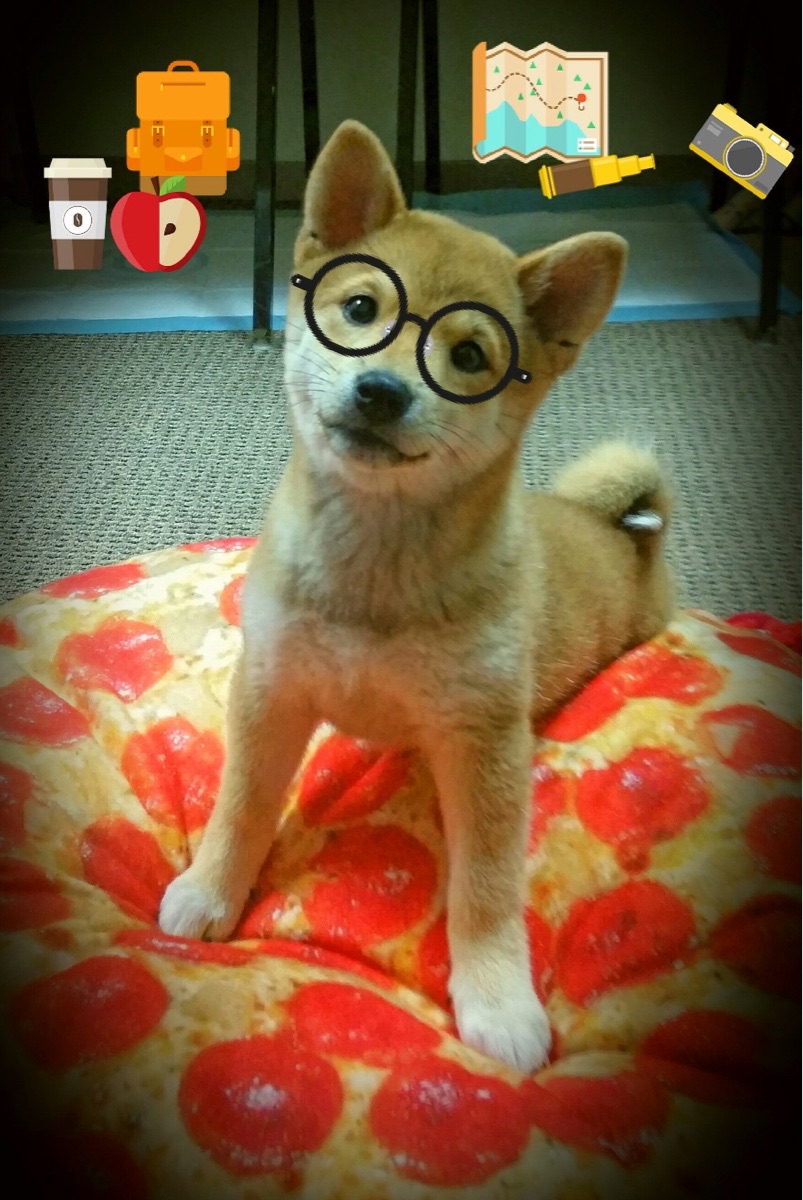 爱游戏官方入口-哈斯险胜红牛，一场以弱胜强的经典，如何重写F1的游戏规则？