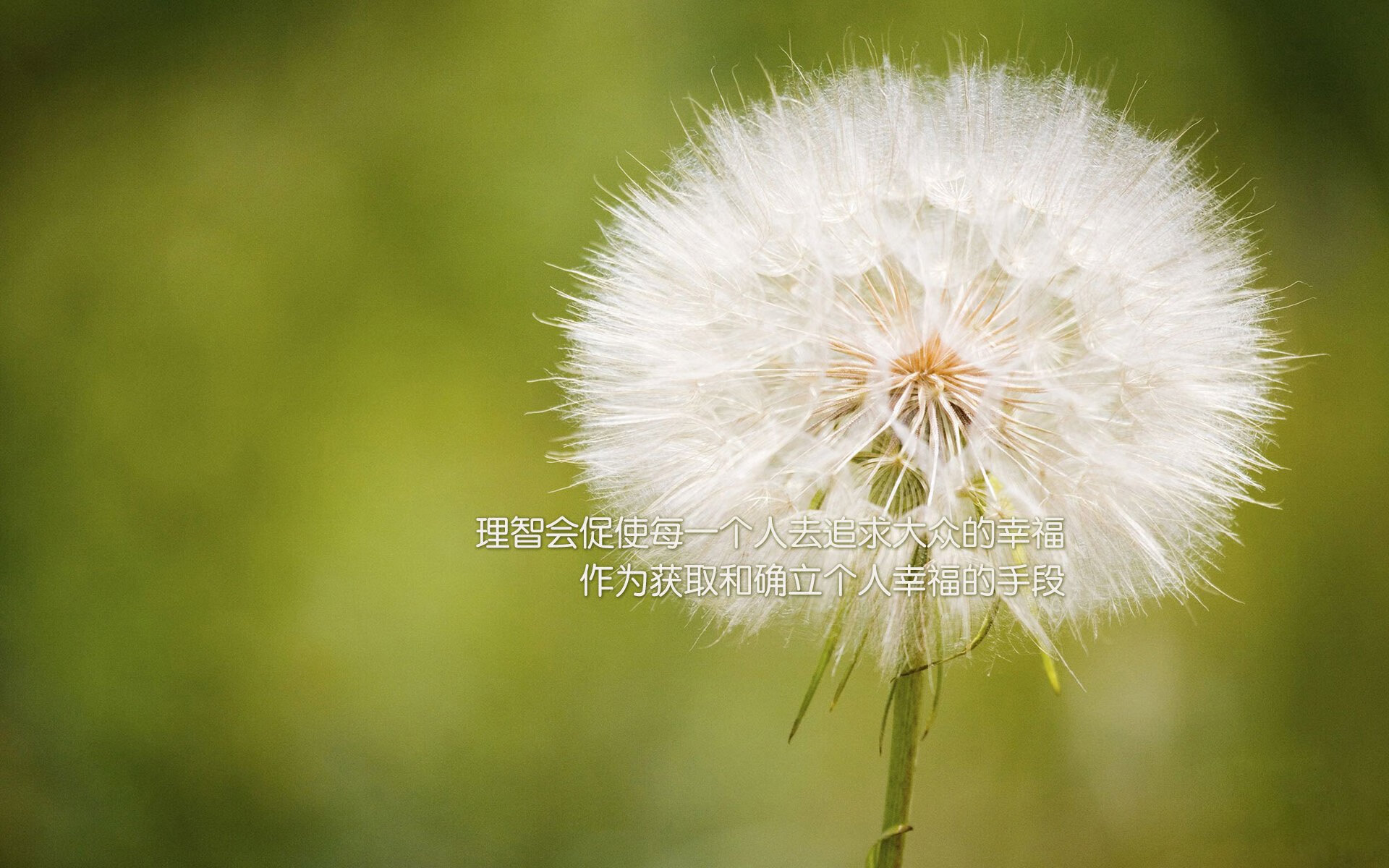 爱游戏大厅-横跨太平洋的篮球教科书，马克西对阵辽宁队的卓越教学