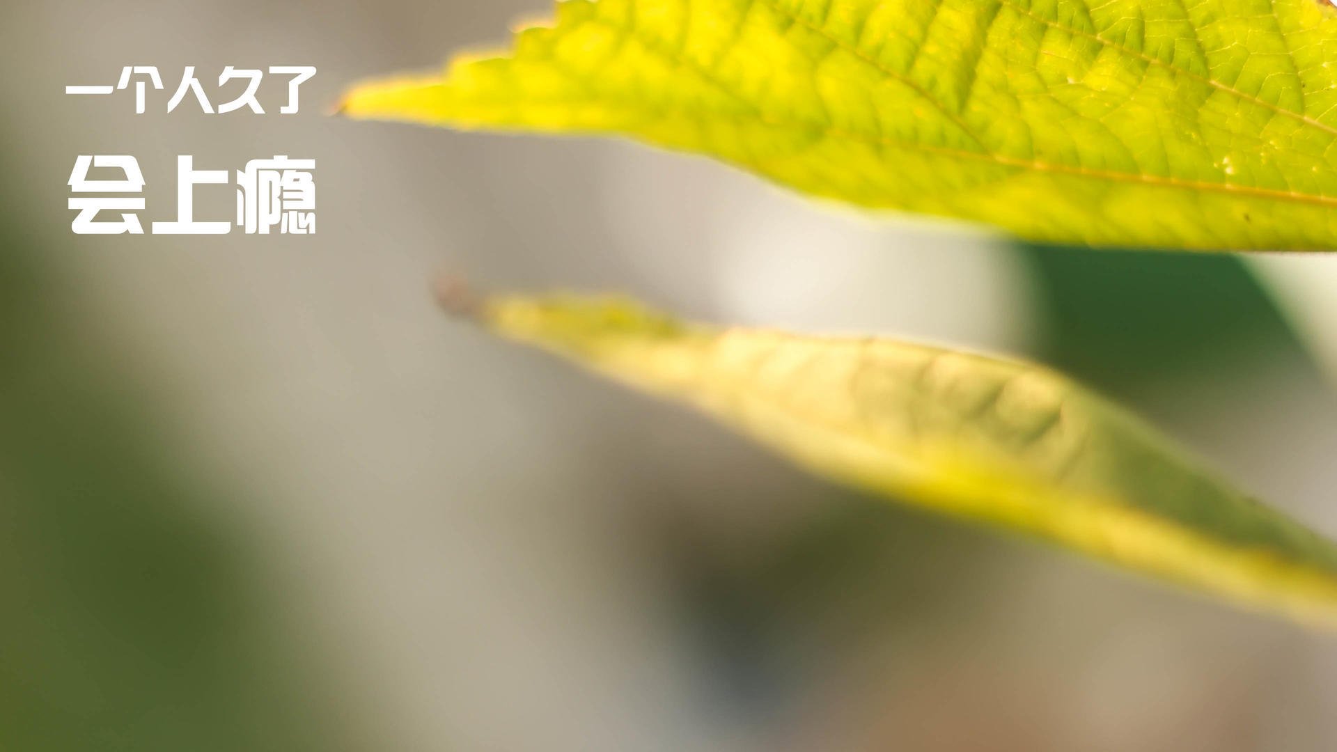 双线战场，轮胎在燃烧 篮筐在震颤