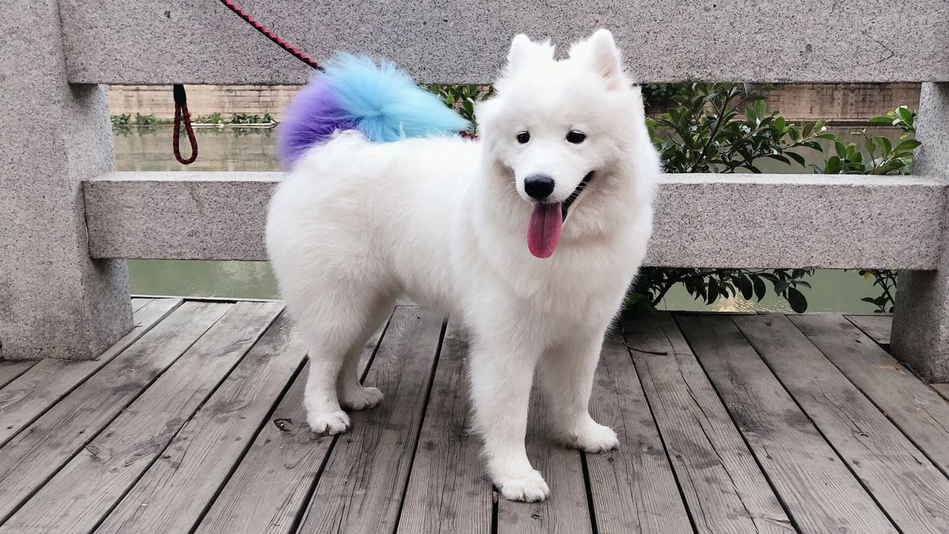 真实战术与想象艺术,足球世界的双重奏鸣