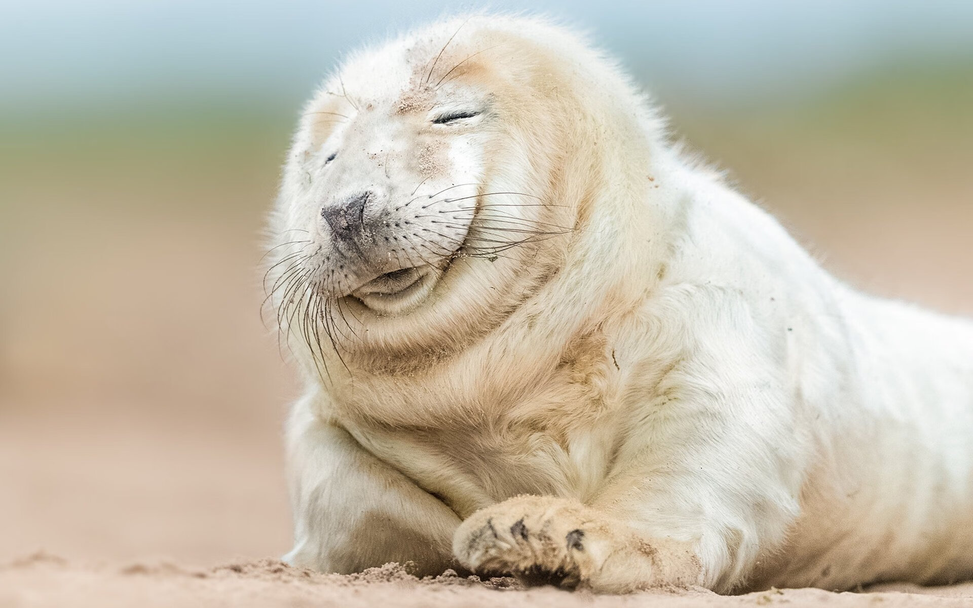 终场绝响,当非洲鼓点震碎马赛港,基耶萨梅开二度导演逆转神话