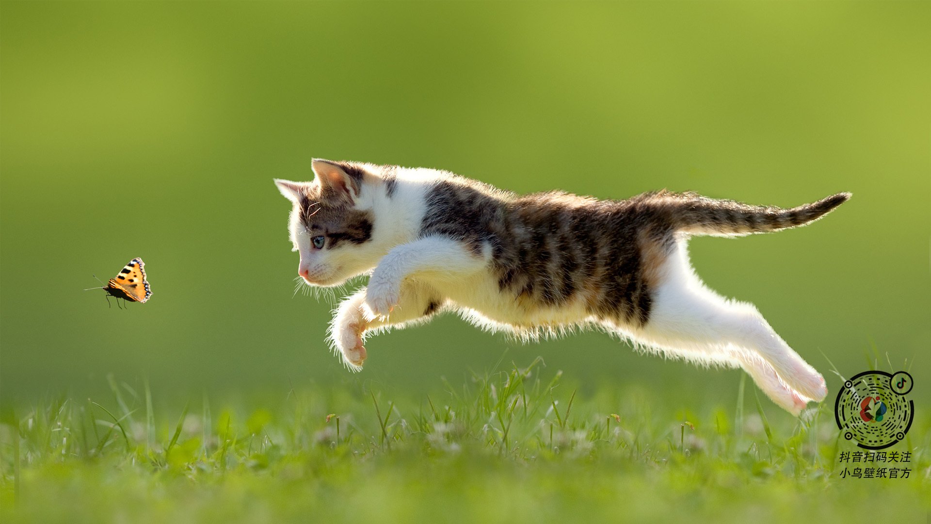 爱游戏体育-南意风暴与潘帕斯刺客，足球世界的战术革命与个人英雄主义