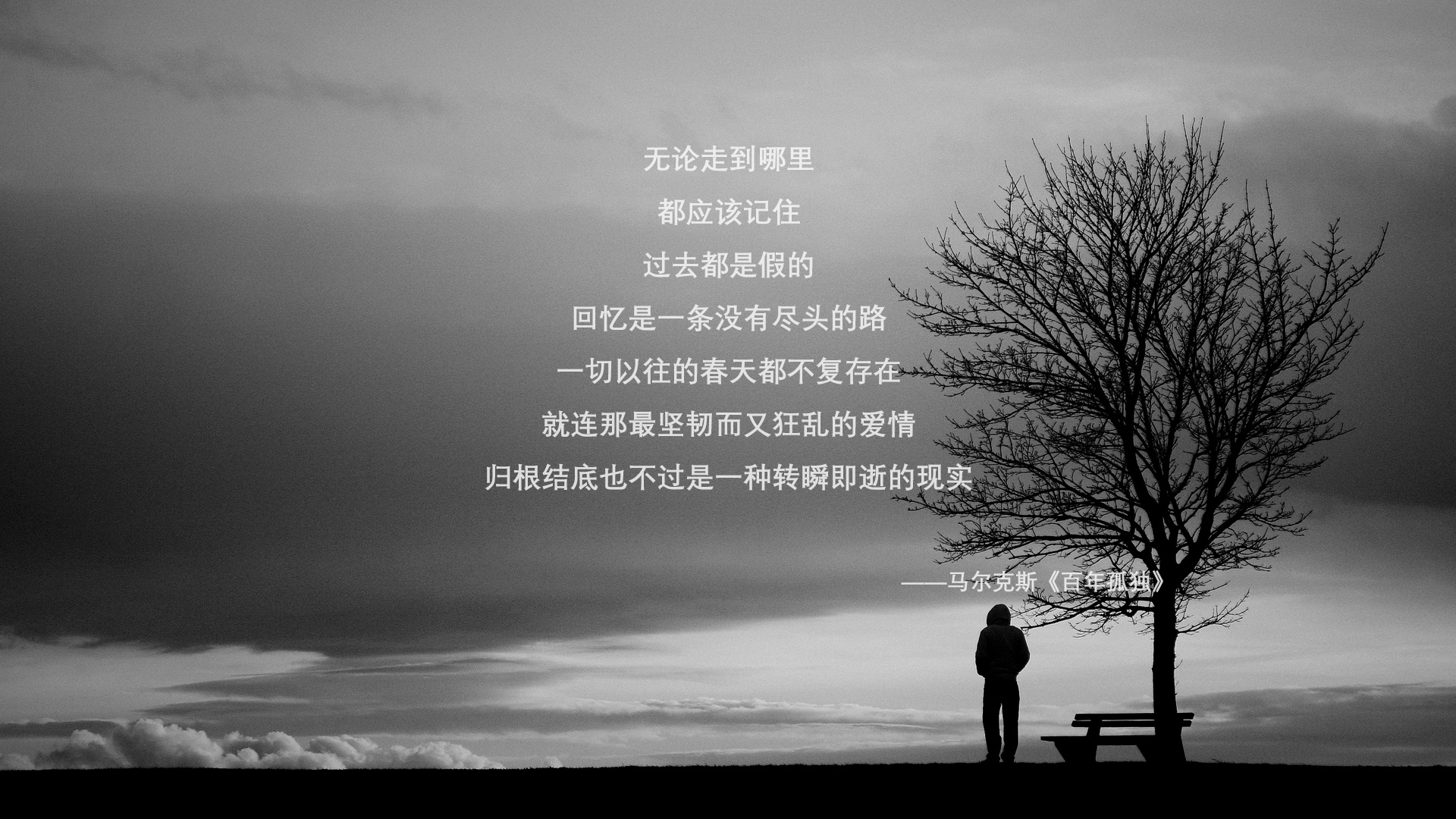 冲击波与交响乐，南非野性洪流中，罗德里的个人主义宣言