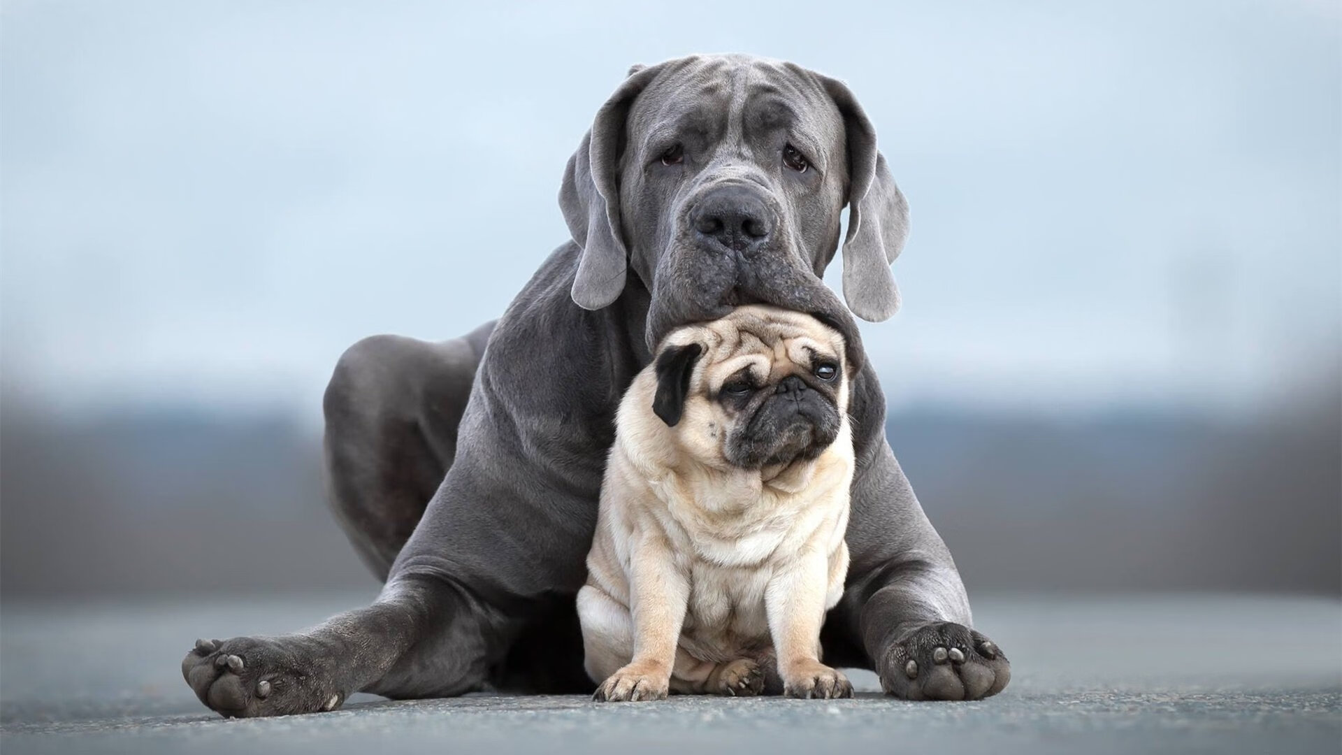 逆转之魂，足球史诗中的英超激战与皇马奇迹