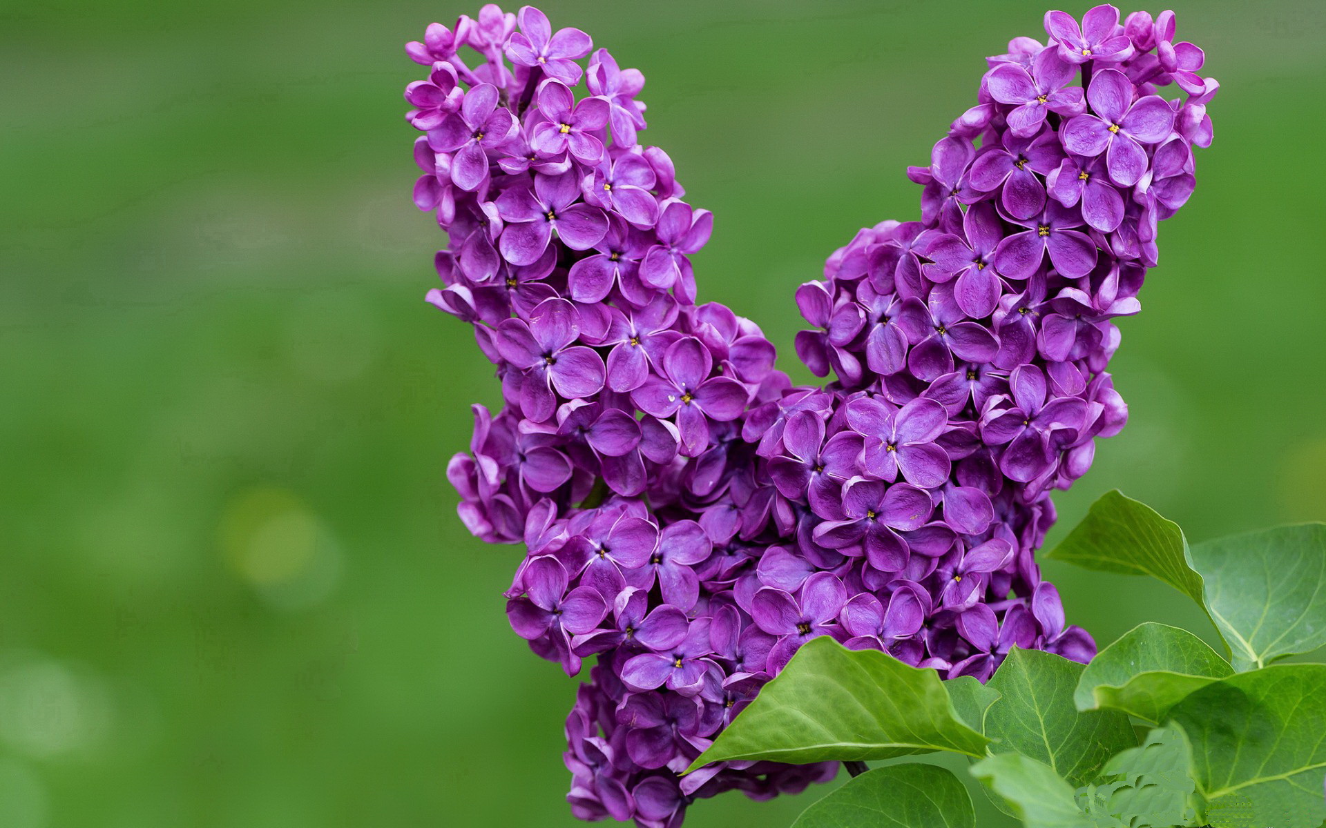 当唯一是反义词时,孔德的致命长传如何让马赛的十亿星河黯淡无光