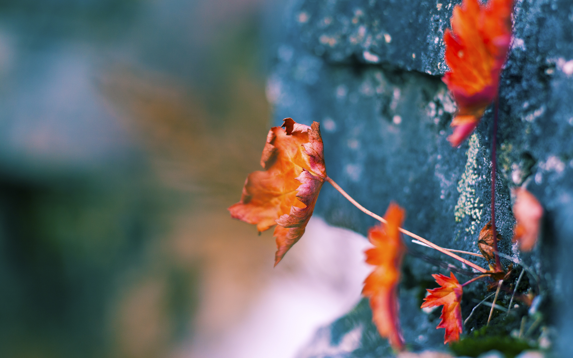 爱游戏在线-速度与掌控，莱比锡红牛的全域粉碎与阿什拉夫的街道接管