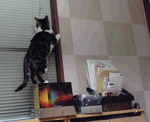 恩比德禁区狂潮持续造杀伤，太阳精密攻防终结上海队连胜神话