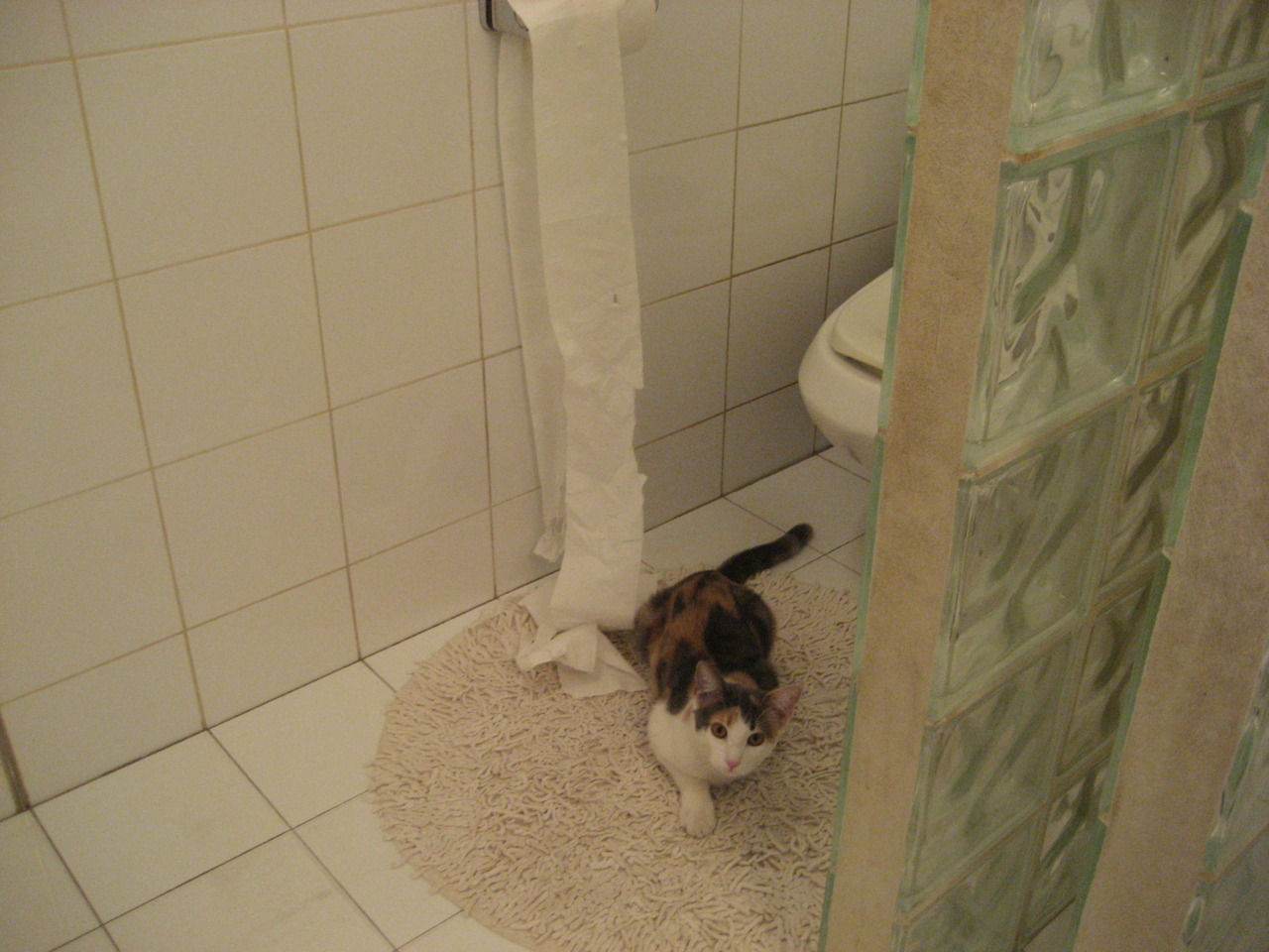 爱游戏官方入口-雪耻之战！洪都拉斯血拼哥斯达黎加，阿拉巴绝境救主成关键先生