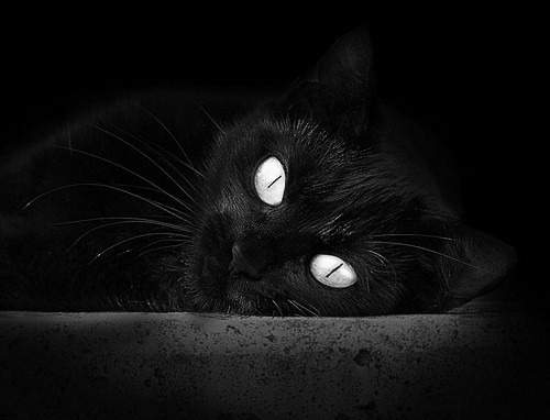 双线战场,当欧冠决赛的号角吹响中国篮球的终场哨