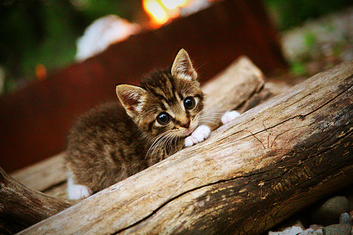 元宇宙东决启示录，巴拉圭数据狂潮击穿德国战车防线