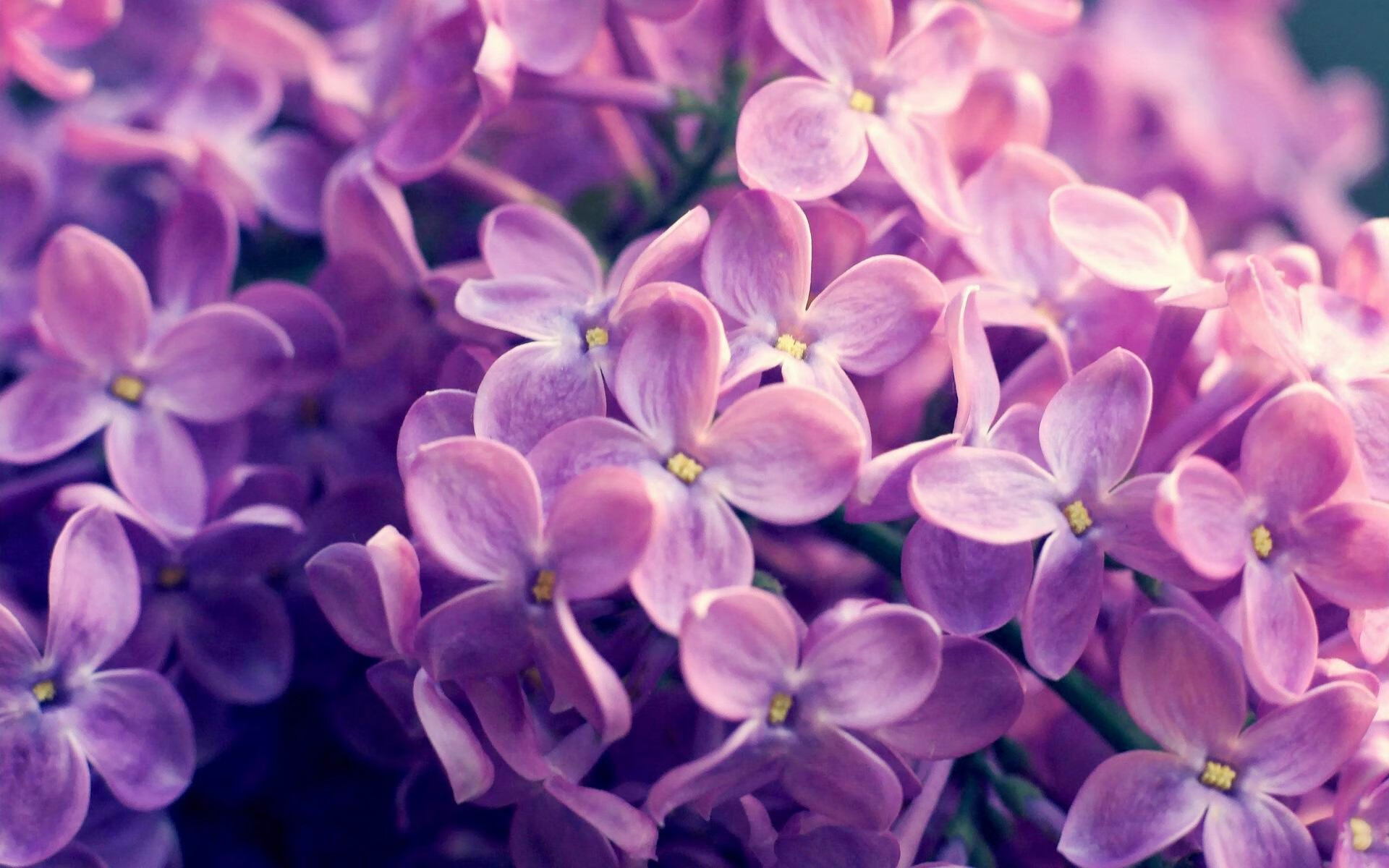 爱游戏2026-杰伦·格林单防化身铁闸，关键抢断助快船险胜上海队