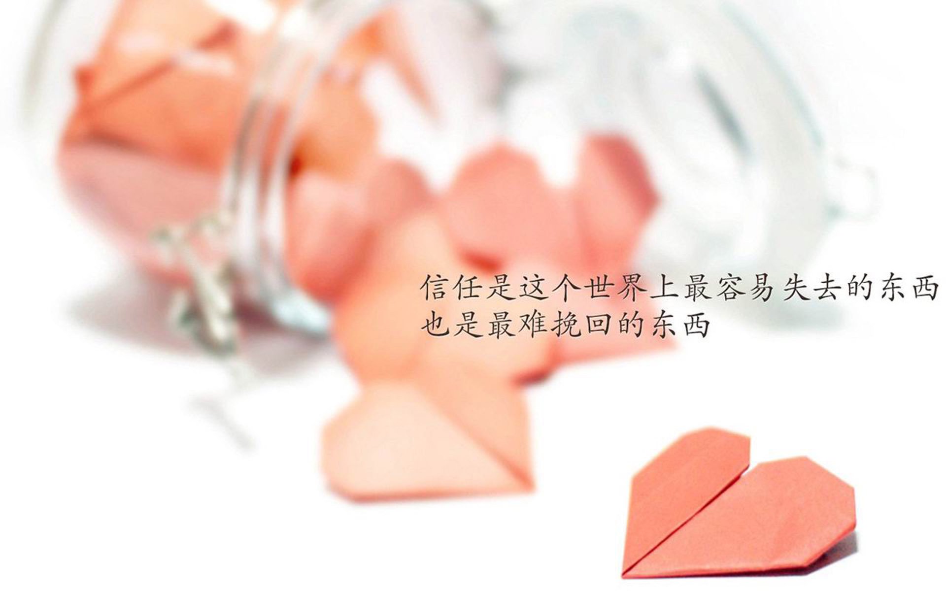 战车折戟，黑星闪耀，布罗佐维奇独舞引领加纳风暴，E组焦点战演绎世界杯唯一经典