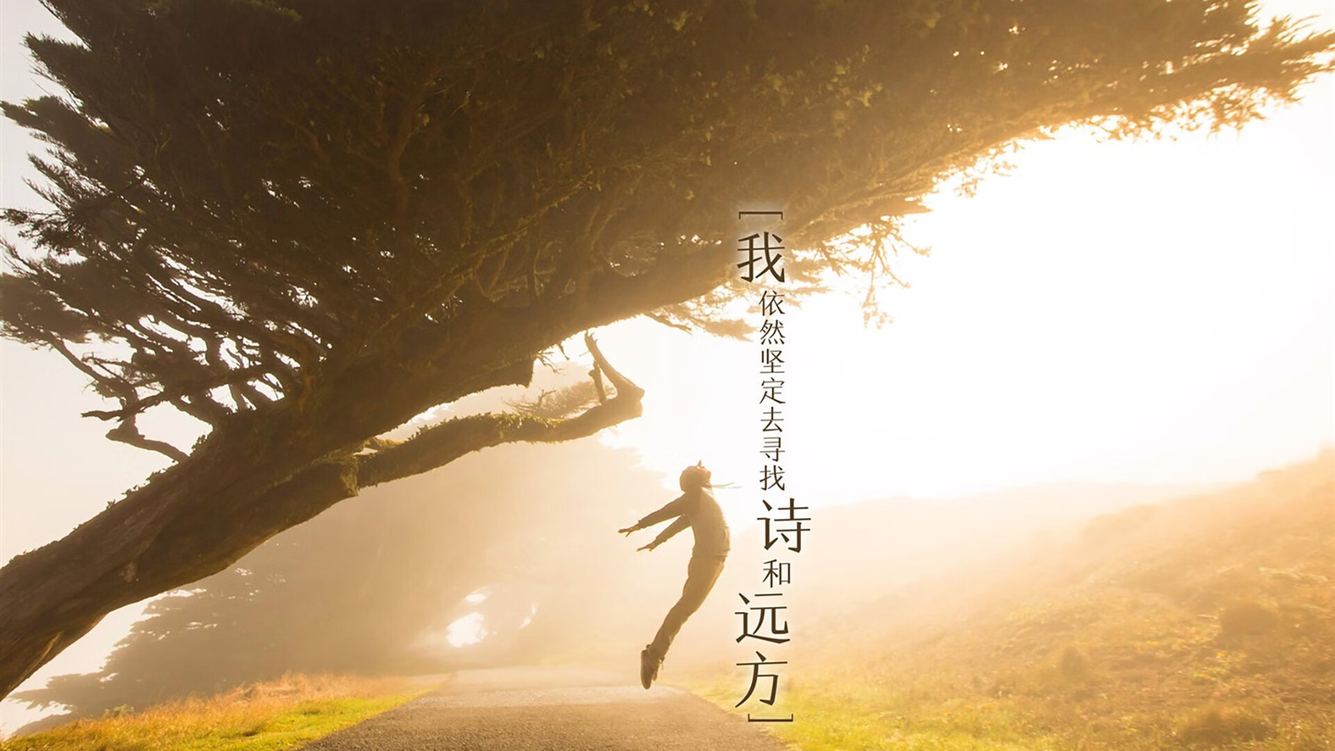 沙漠之鹰与玫瑰的对决，阿联酋如何用库尔图瓦的第12人光芒，改写世界杯头名之争的钢铁剧本